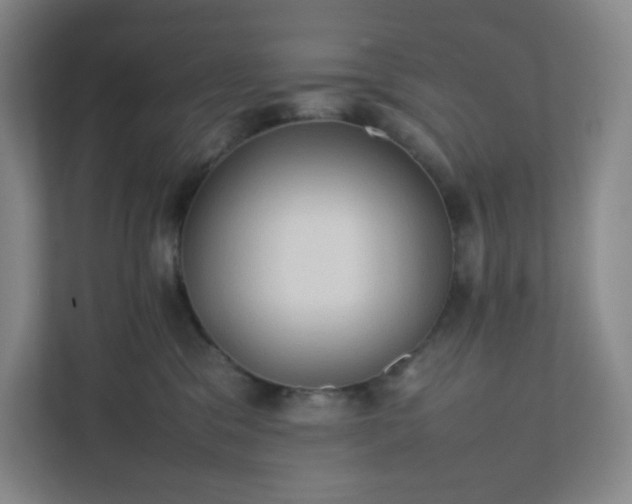 X0000111950329200908031203