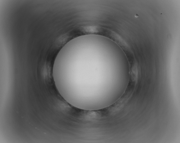X0000111950330200908031203