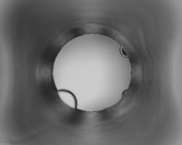 X0000111950333200908031203