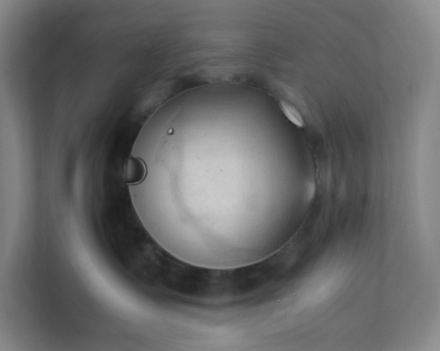 X0000111950335200908031203