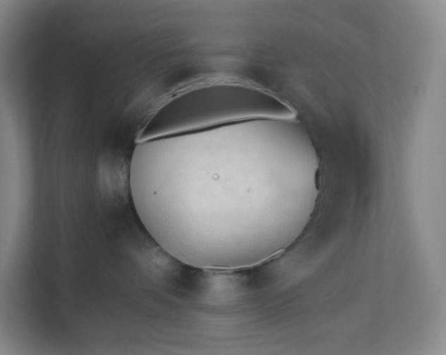 X0000111950336200908031203