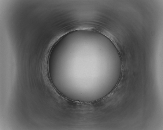 X0000111950337200908031202