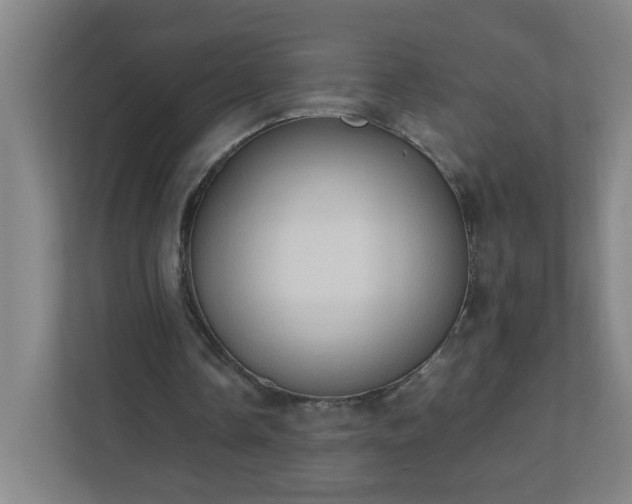 X0000111950338200908031202