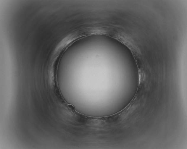 X0000111950339200908031202