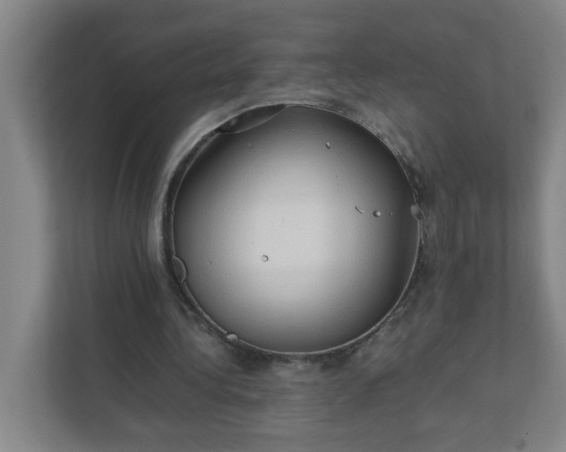 X0000111950340200908031202