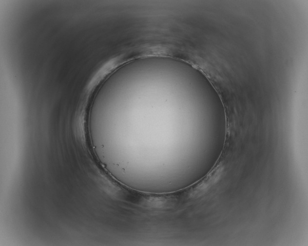 X0000111950341200908031202