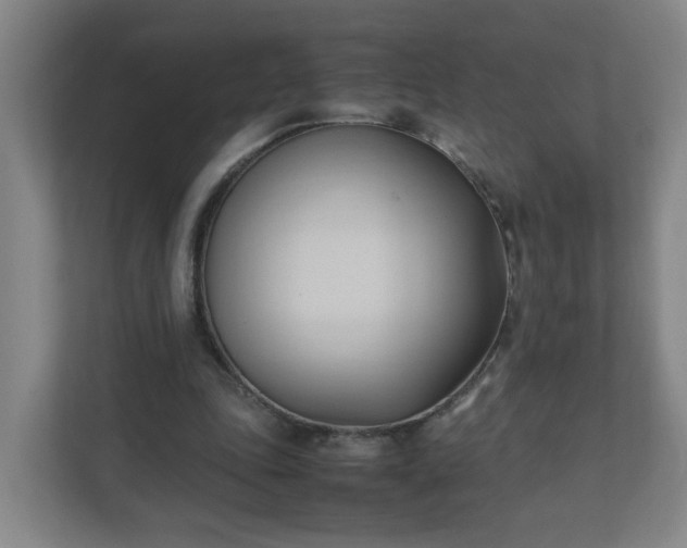 X0000111950343200908031202