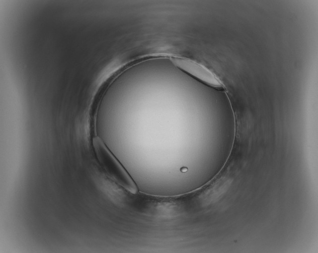 X0000111950344200908031202