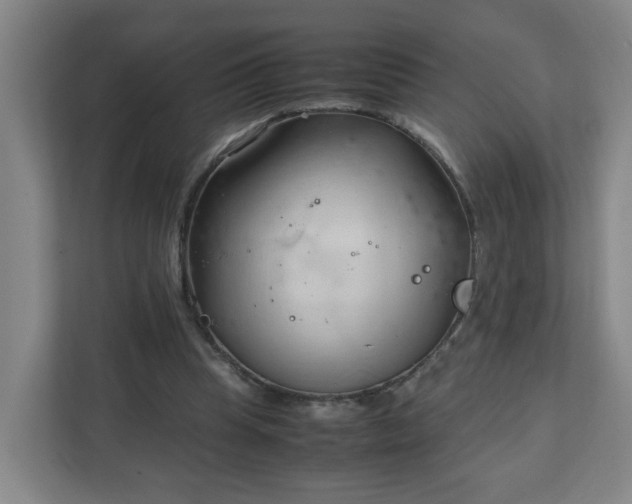 X0000111950345200908031202