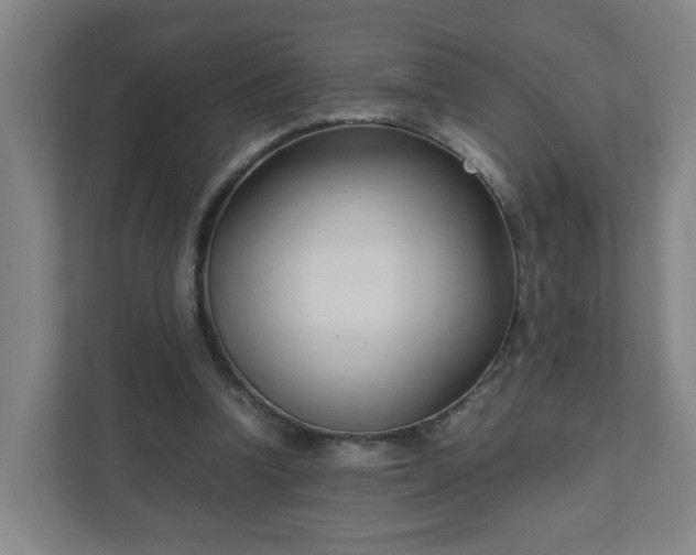 X0000111950346200908031202