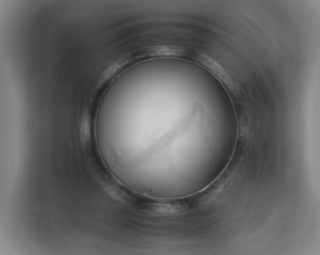 X0000111950347200908031202
