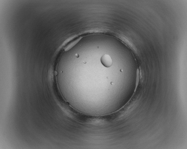 X0000111950348200908031202