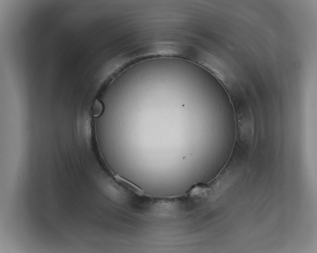 X0000111950350200908031203