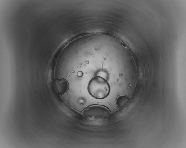X0000111950351200908031203