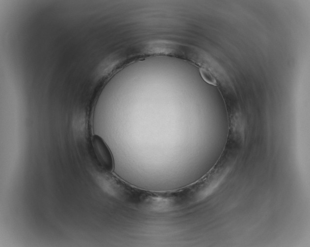 X0000111950352200908031203