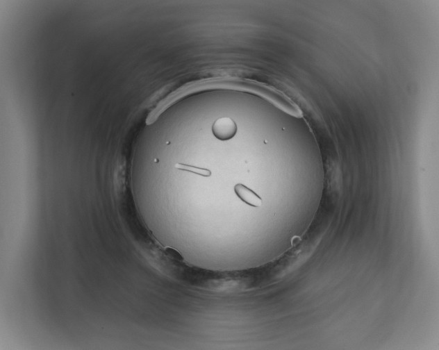 X0000111950356200908031203
