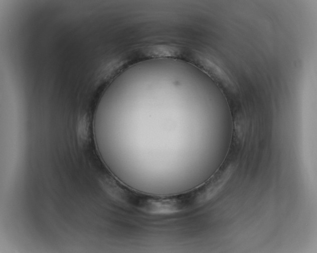 X0000111950359200908031203