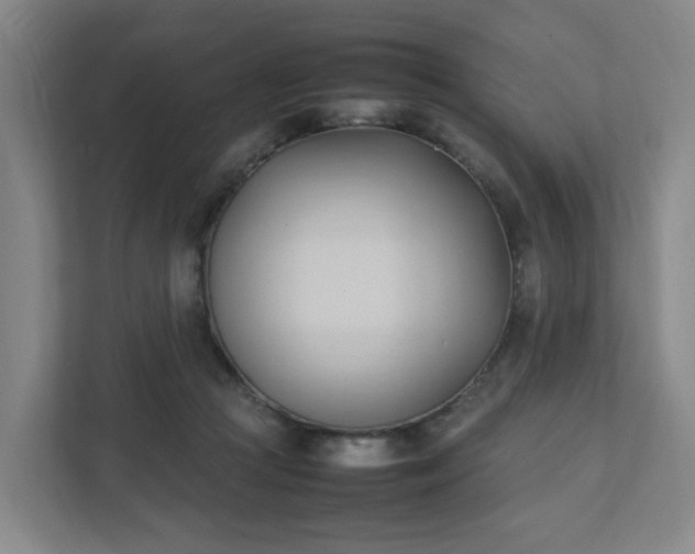 X0000111950361200908031203