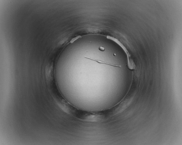 X0000111950364200908031203