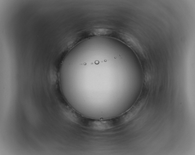 X0000111950367200908031203