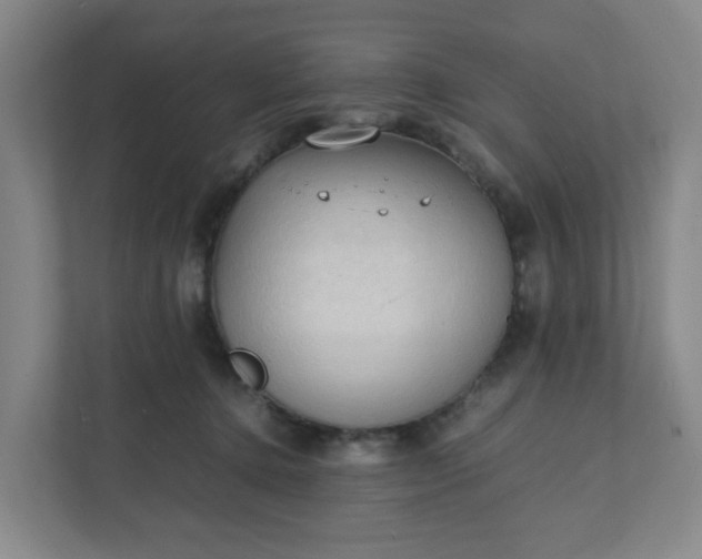 X0000111950368200908031203