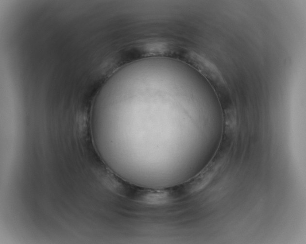 X0000111950369200908031203