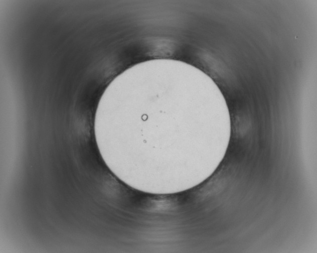 X0000111950370200908031203