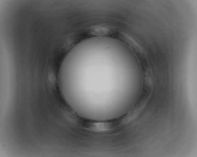 X0000111950371200908031203