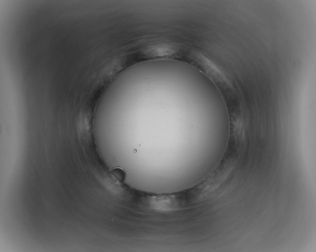 X0000111950373200908031203