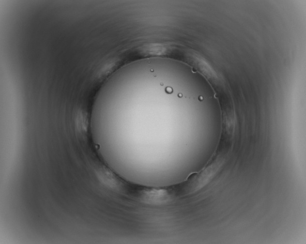 X0000111950374200908031203