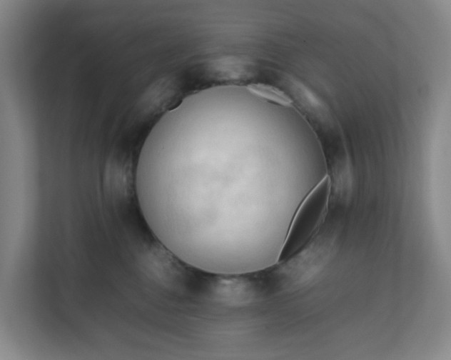 X0000111950376200908031203