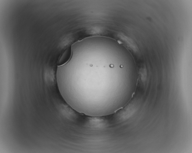 X0000111950380200908031203