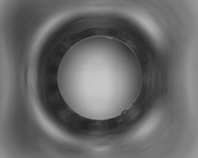 X0000111950383200908031203