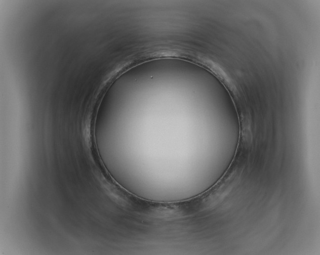 X0000111950386200908031202
