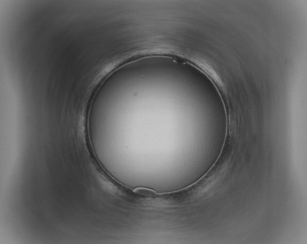 X0000111950389200908031202