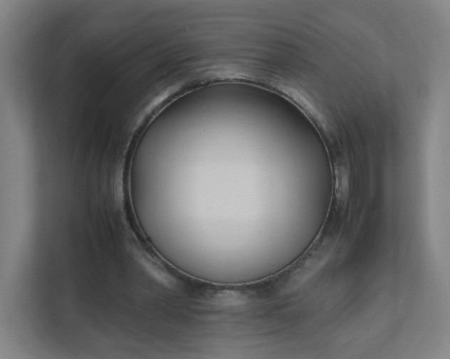 X0000111950390200908031202