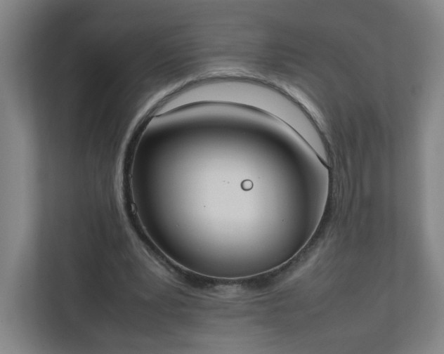 X0000111950391200908031202