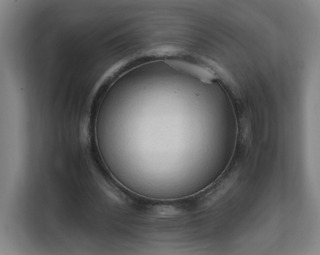X0000111950392200908031202