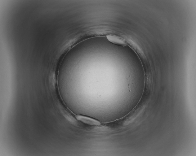 X0000111950397200908031202