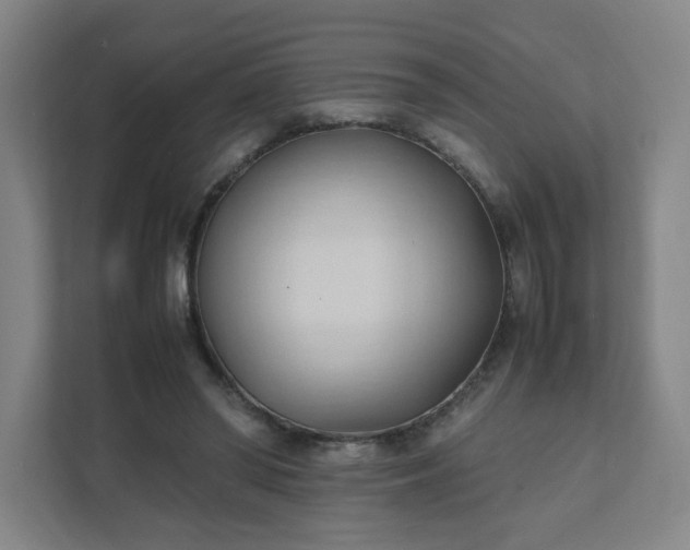 X0000111950398200908031202