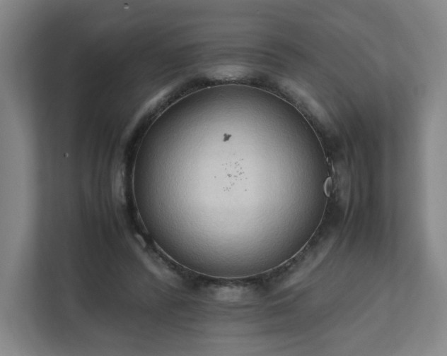 X0000111950400200908031202