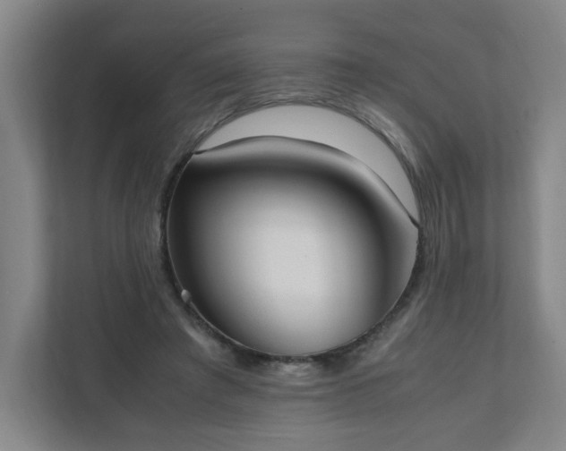 X0000111950401200908031202