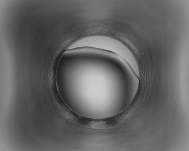 X0000111950403200908031202