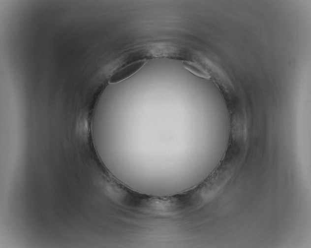 X0000111950405200908031202