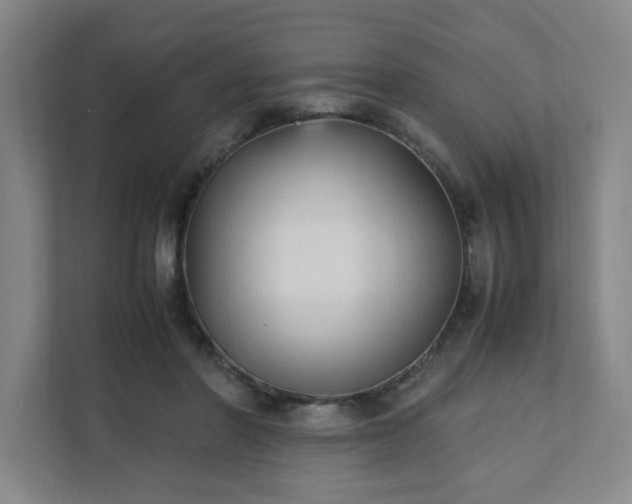 X0000111950406200908031202