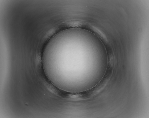 X0000111950407200908031202