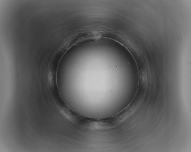X0000111950408200908031202