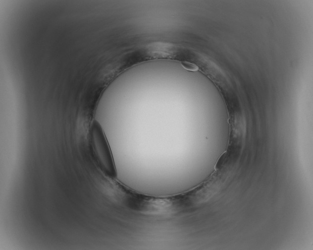 X0000111950409200908031202