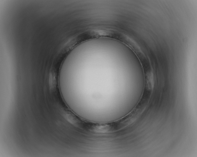X0000111950410200908031202