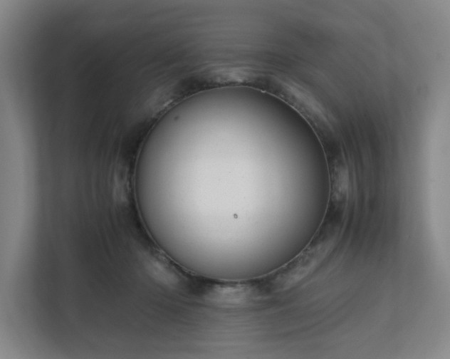 X0000111950414200908031202